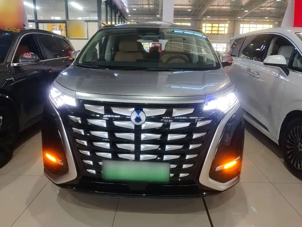 Denza Denza D9 — миниатюра 3