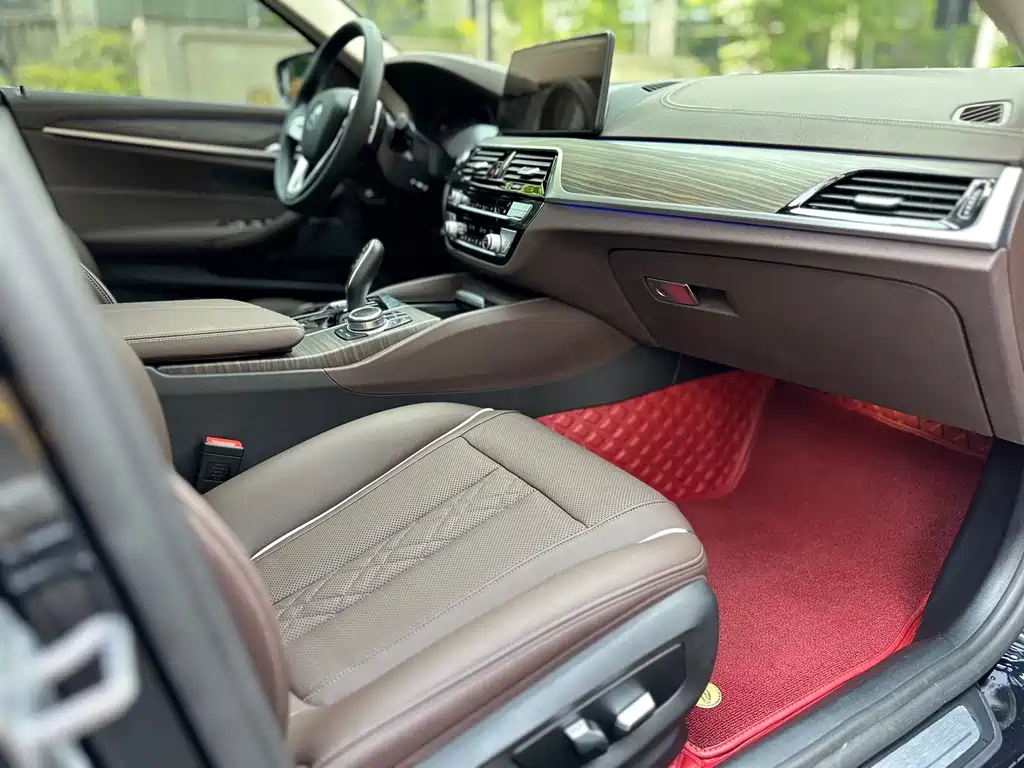 BMW 5 Series 5 2022 530Li Lead Luxury