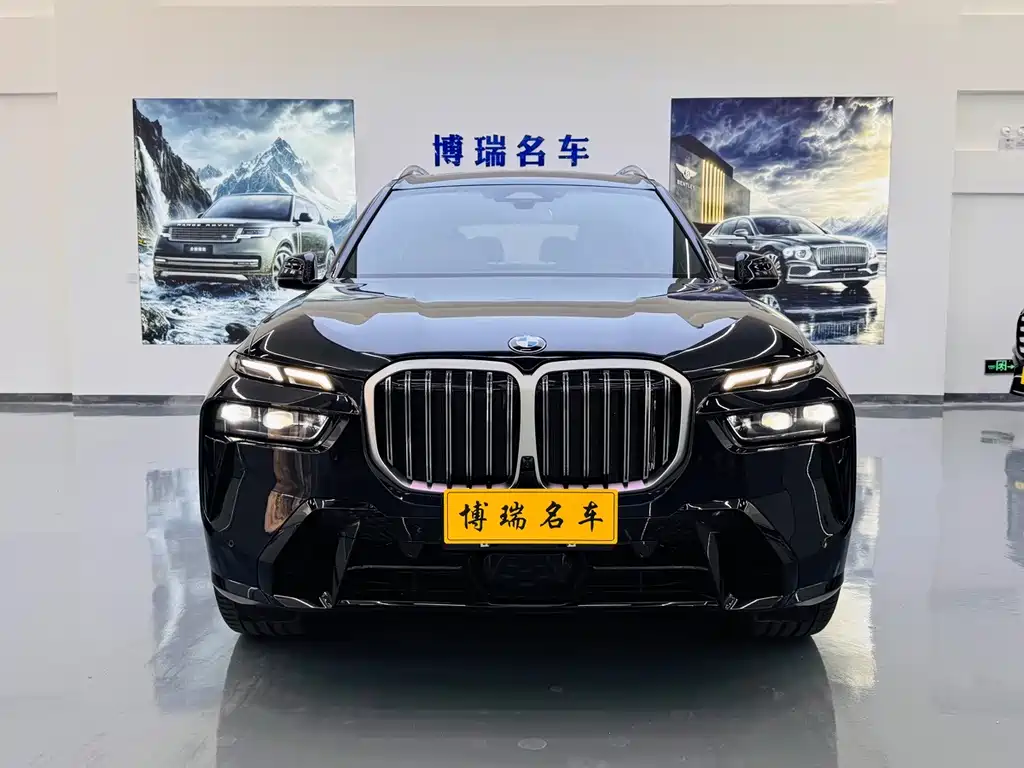 BMW X7 — миниатюра 2