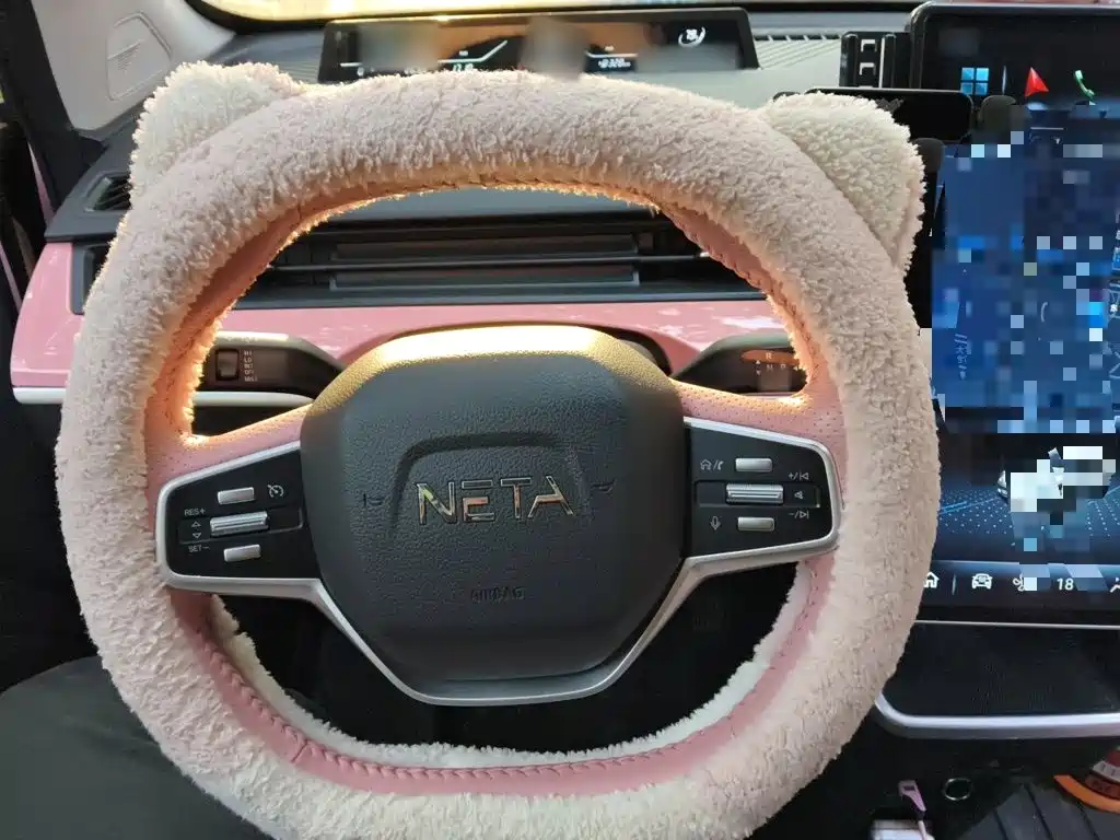 Neta Neta V — миниатюра 6