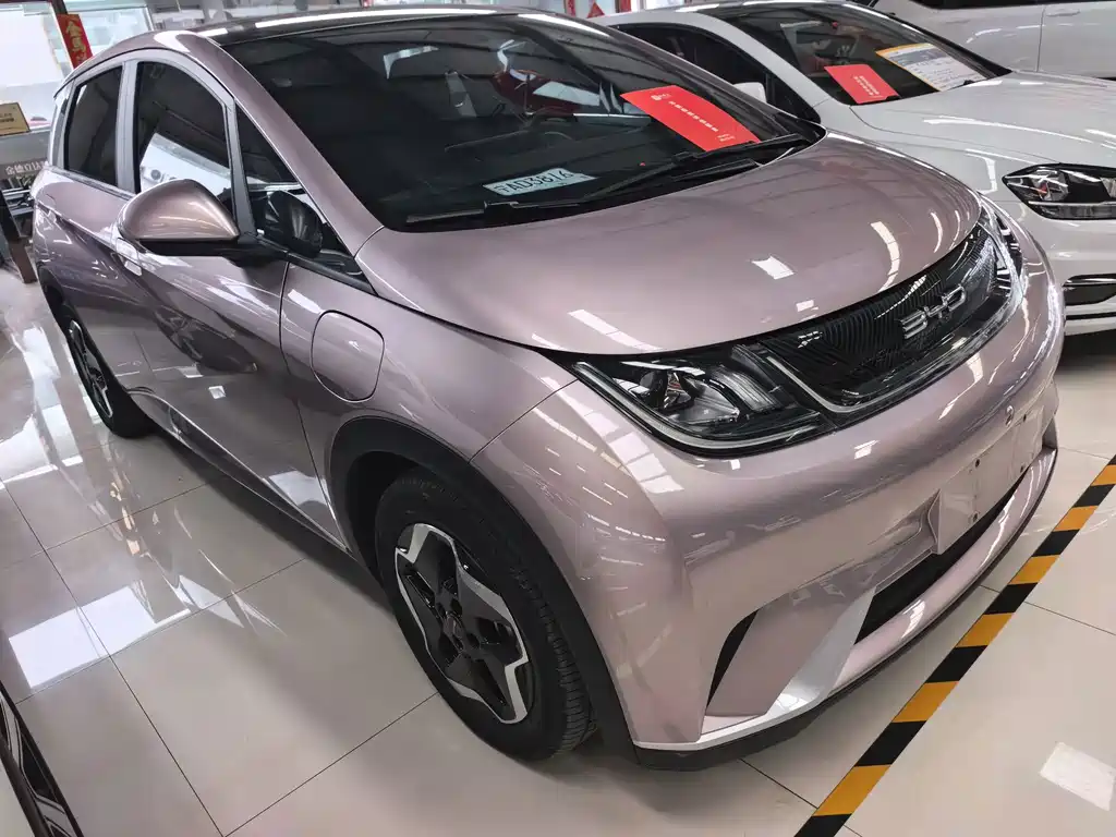 BYD Dolphin — миниатюра 3
