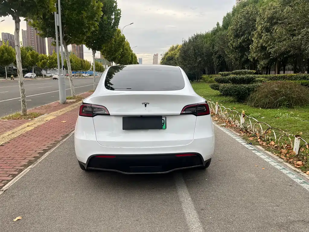 Tesla Model Y — миниатюра 6