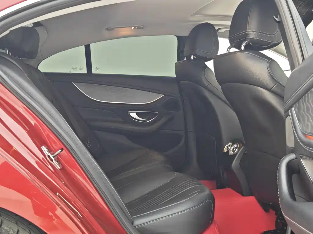 Mercedes-Benz CLS CLS 300 Dynamic Type, фото 25