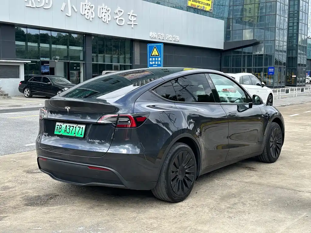 Tesla Model Y — миниатюра 3