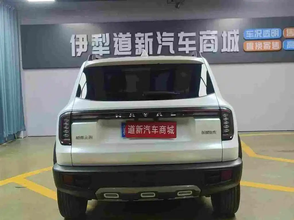Haval Big Dog — миниатюра 7