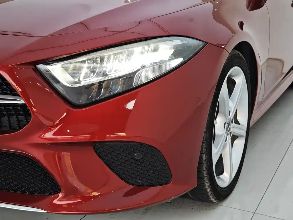 Mercedes-Benz CLS CLS 300 Dynamic Type, фото 31