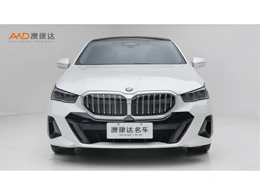 BMW 5 Series — миниатюра 2