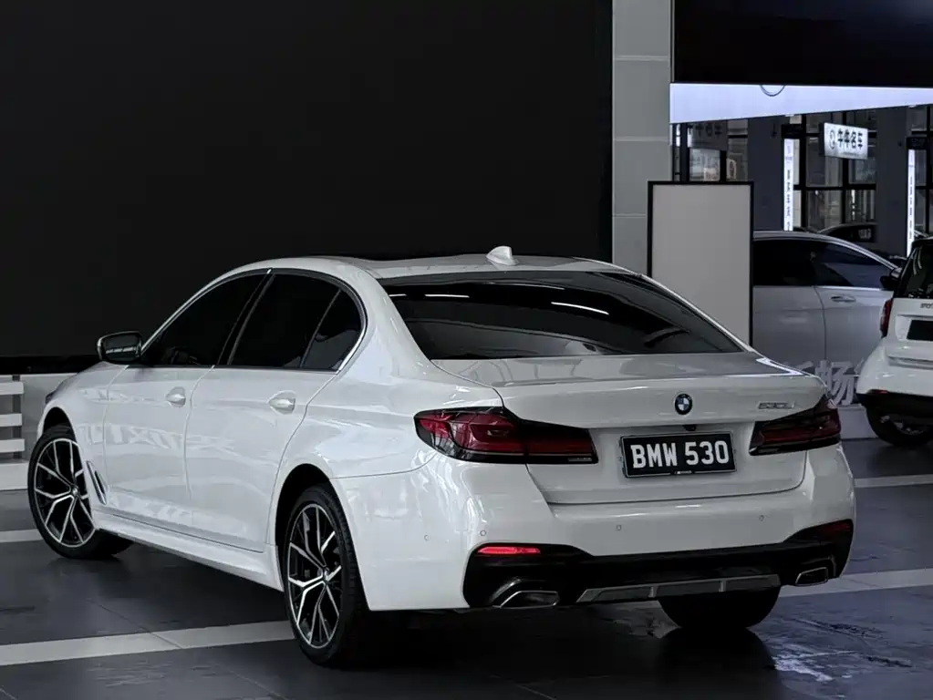 BMW 5 Series — миниатюра 4
