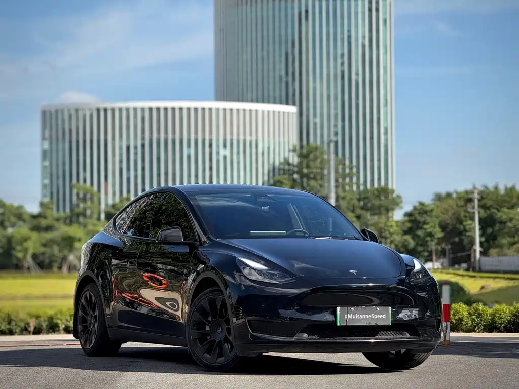 Tesla Model Y — миниатюра 3