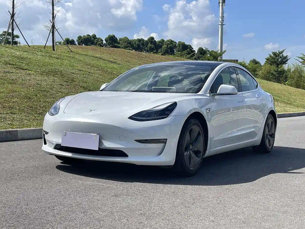 Tesla Model 3 2021