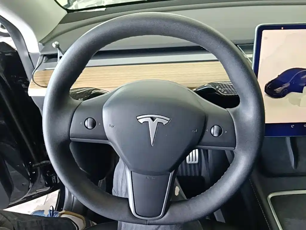 Tesla Model Y — миниатюра 11