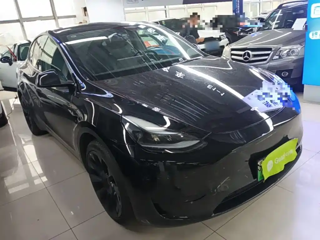 Tesla Model Y — миниатюра 4