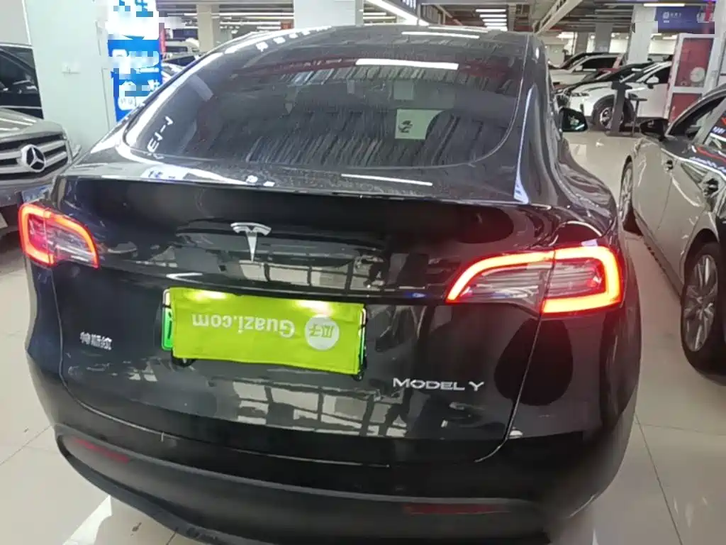 Tesla Model Y — миниатюра 6