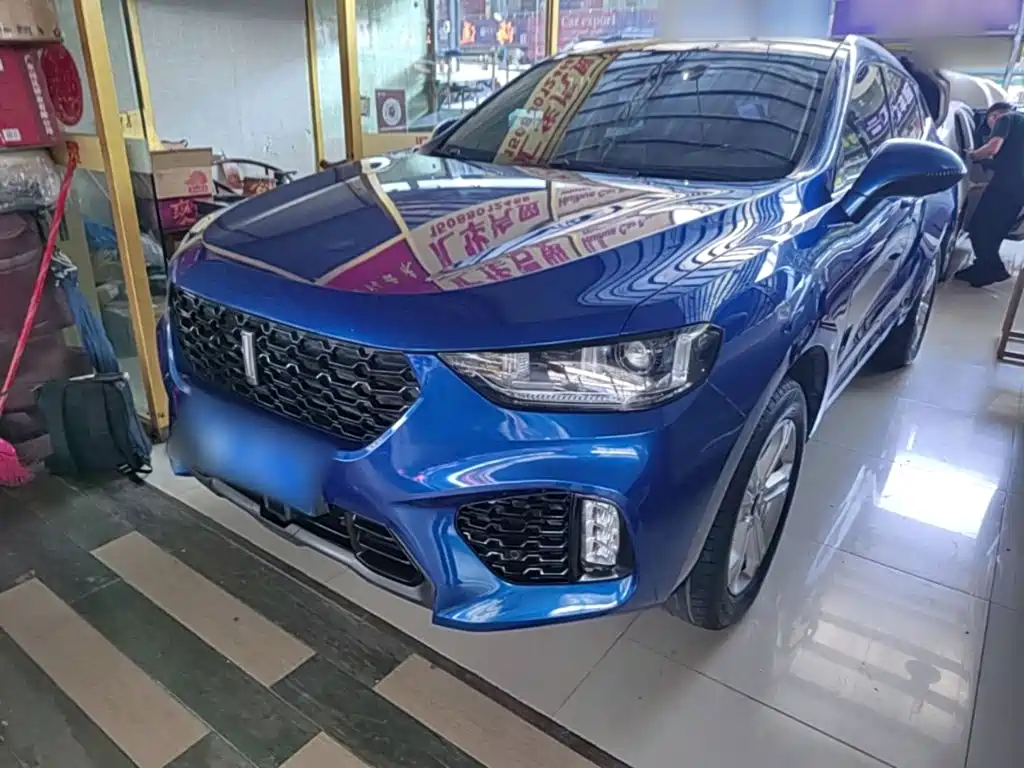 Wey Wey VV5