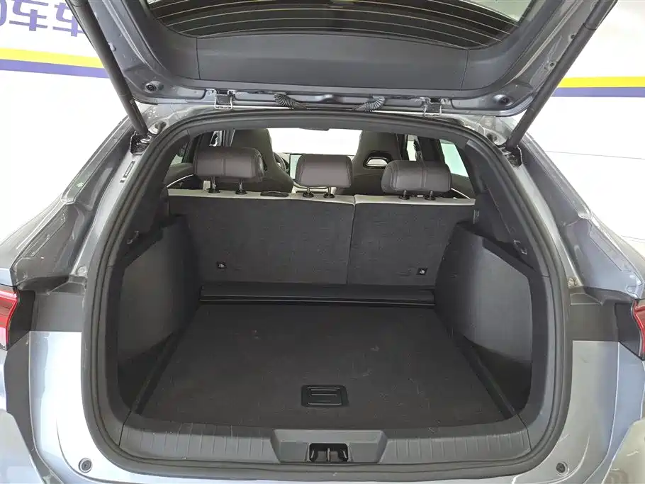 BYD SONGJIANG NEW ENERGY