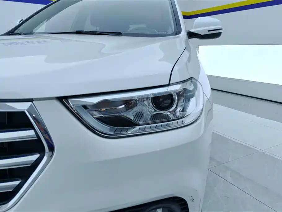 HAVAL H2
