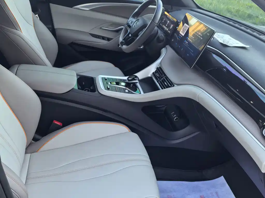 BYD Pro New Energy — миниатюра 10