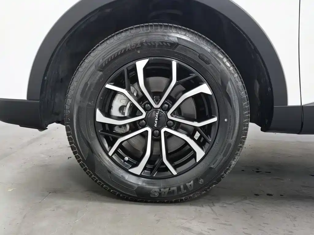 Haval H6 — миниатюра 17