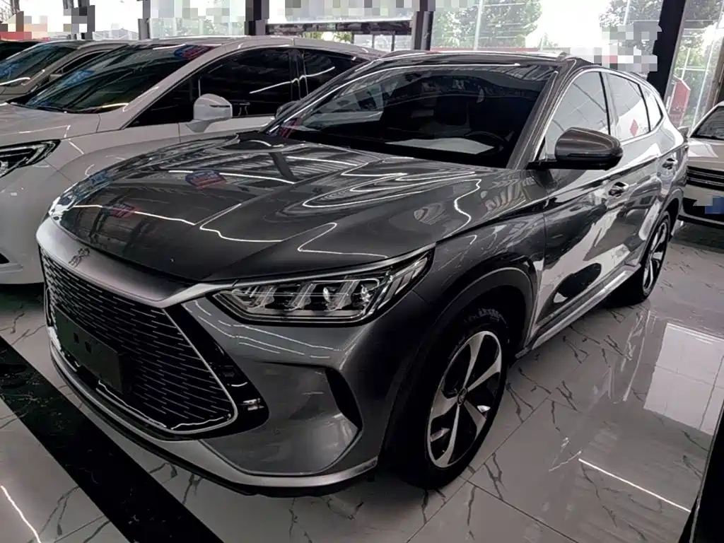 BYD PLUS New Energy — миниатюра 2