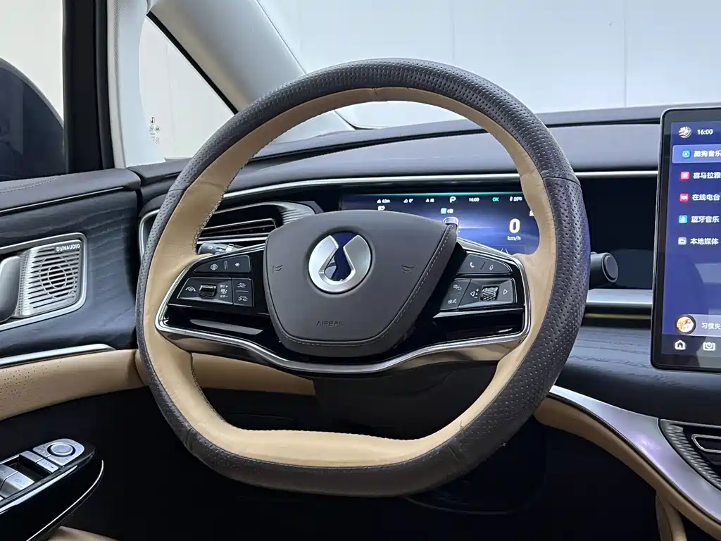Denza Denza D9 — миниатюра 16