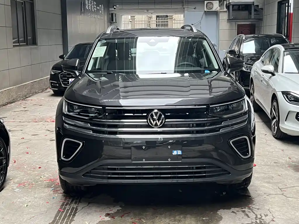 Volkswagen Tavendor — миниатюра 4