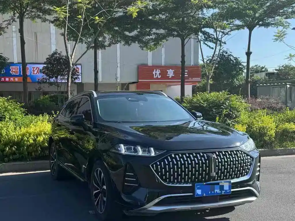 WEI PAI WEI BRAND MOCHA