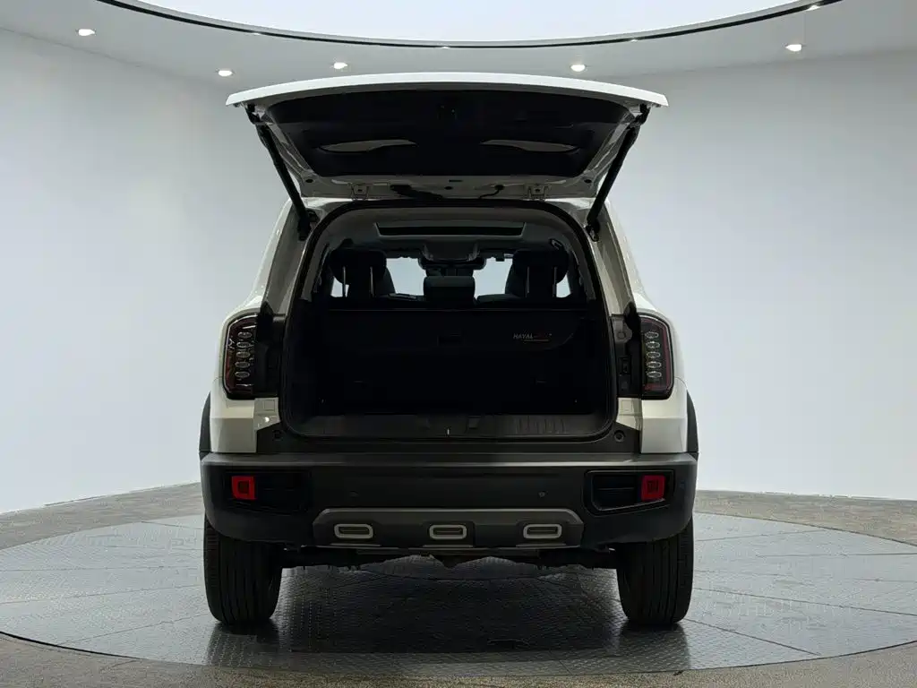 Haval 长城大狗 — миниатюра 5