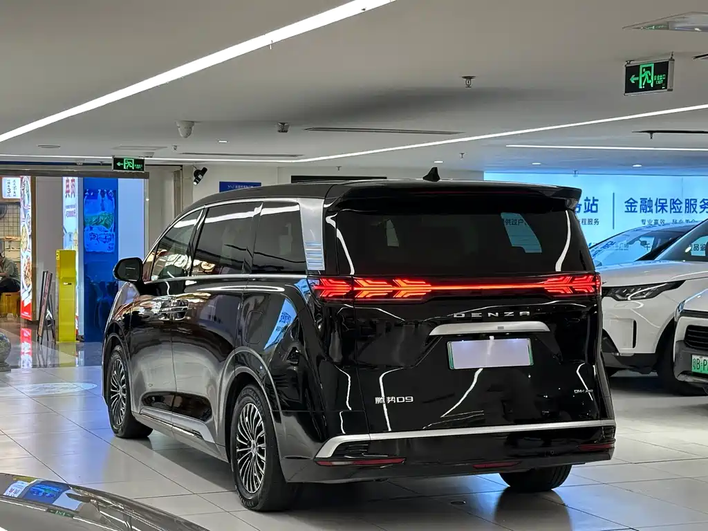 Denza Denza D9 — миниатюра 5