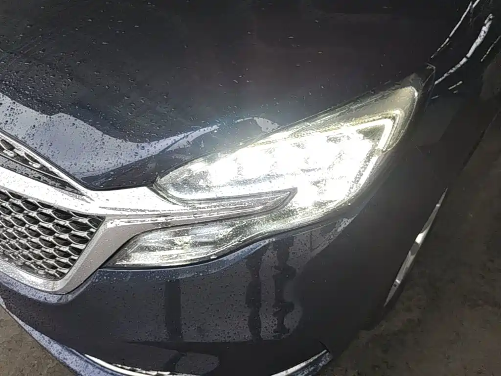 Buick GL8 — миниатюра 24