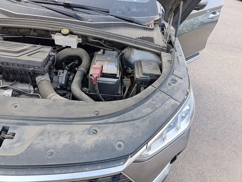 BYD PLUS — миниатюра 21