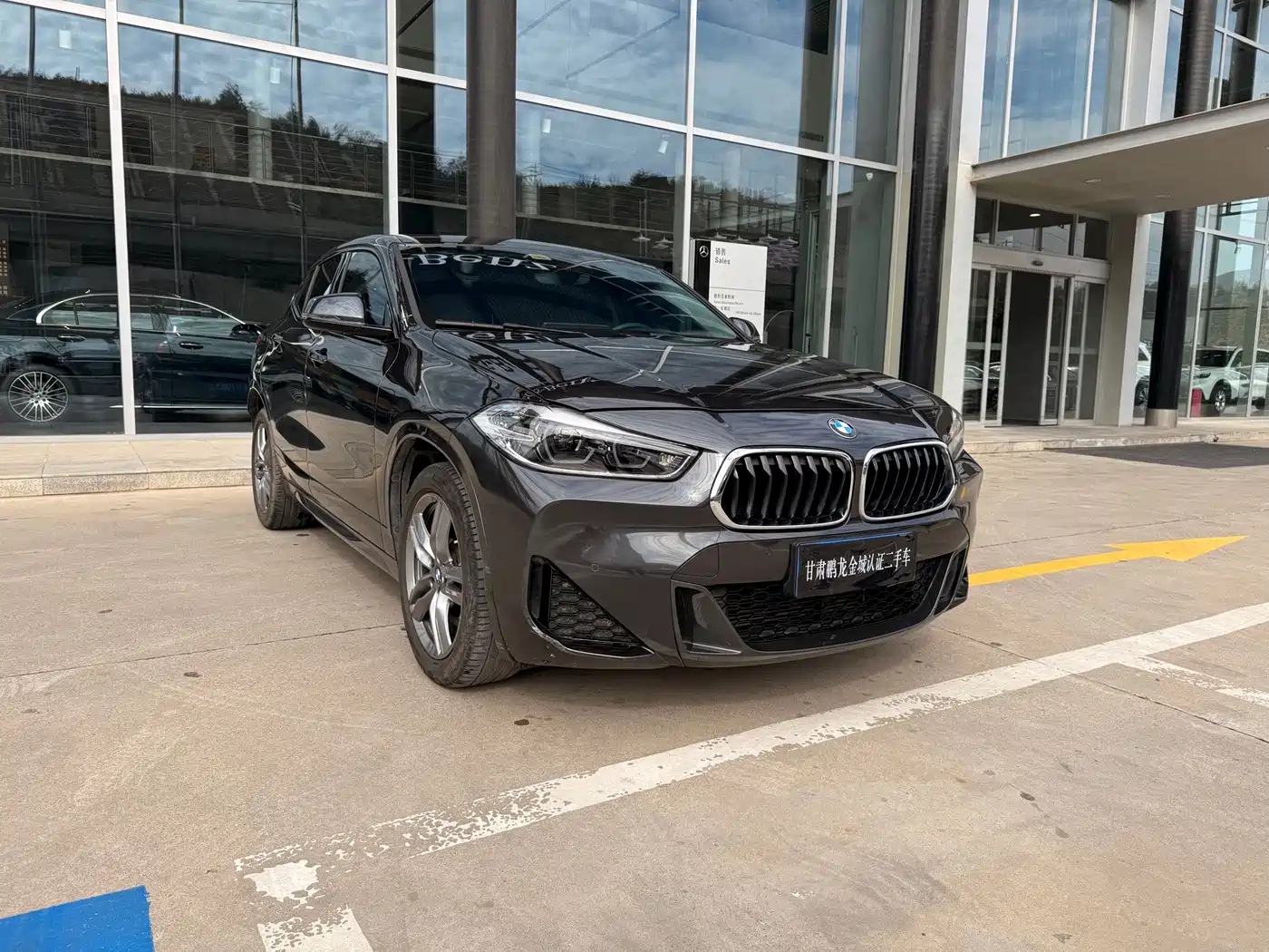 BMW X2