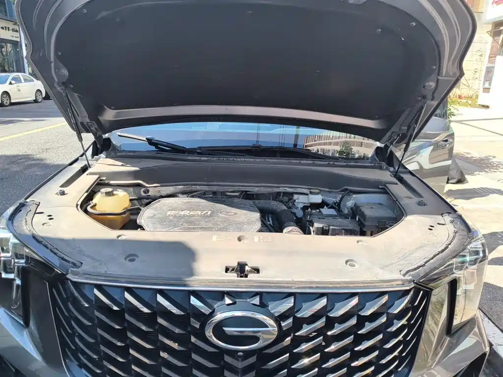 GAC Motor Trumpchi GS8 — миниатюра 16
