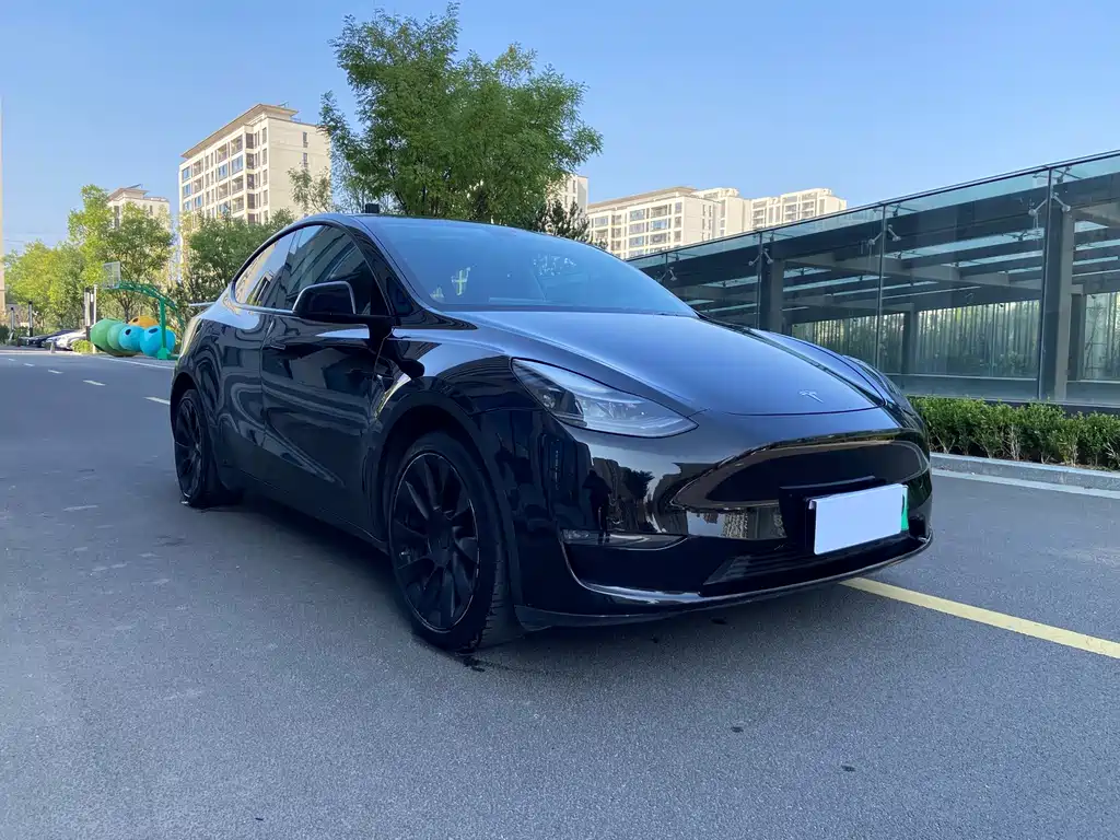 Tesla Model Y — миниатюра 7