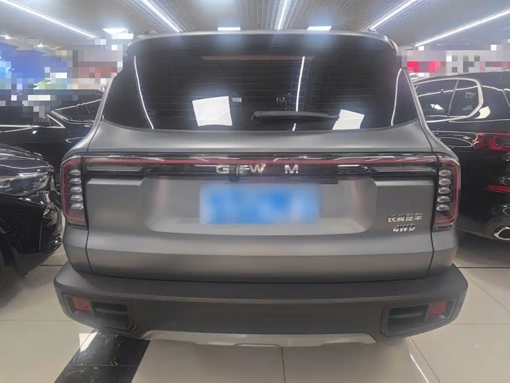 Haval Big Dog — миниатюра 6