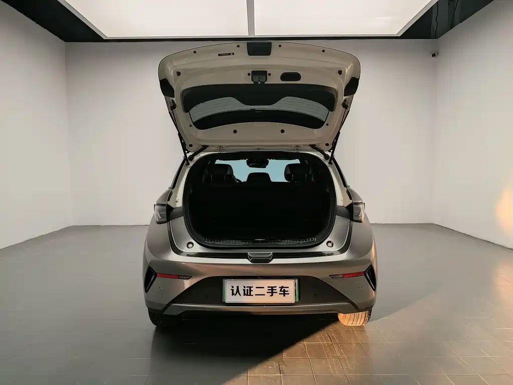 BYD Dolphin — миниатюра 15