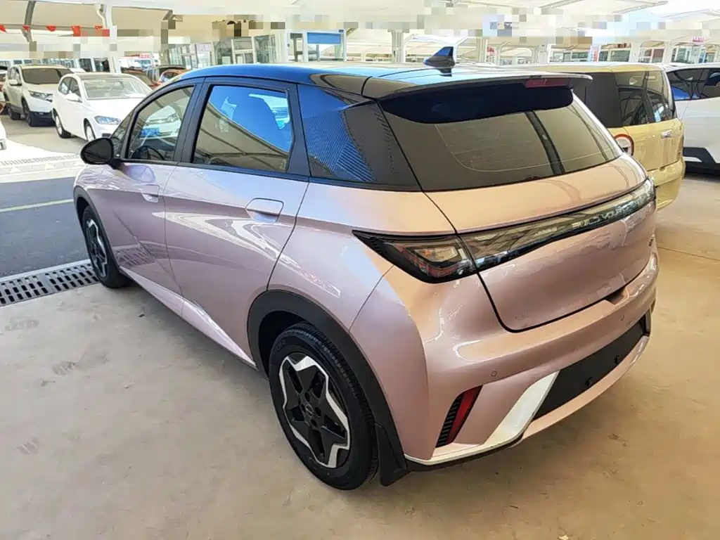 BYD Dolphin — миниатюра 5