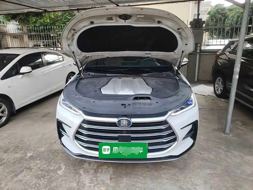 BYD Tang New Energy — миниатюра 20