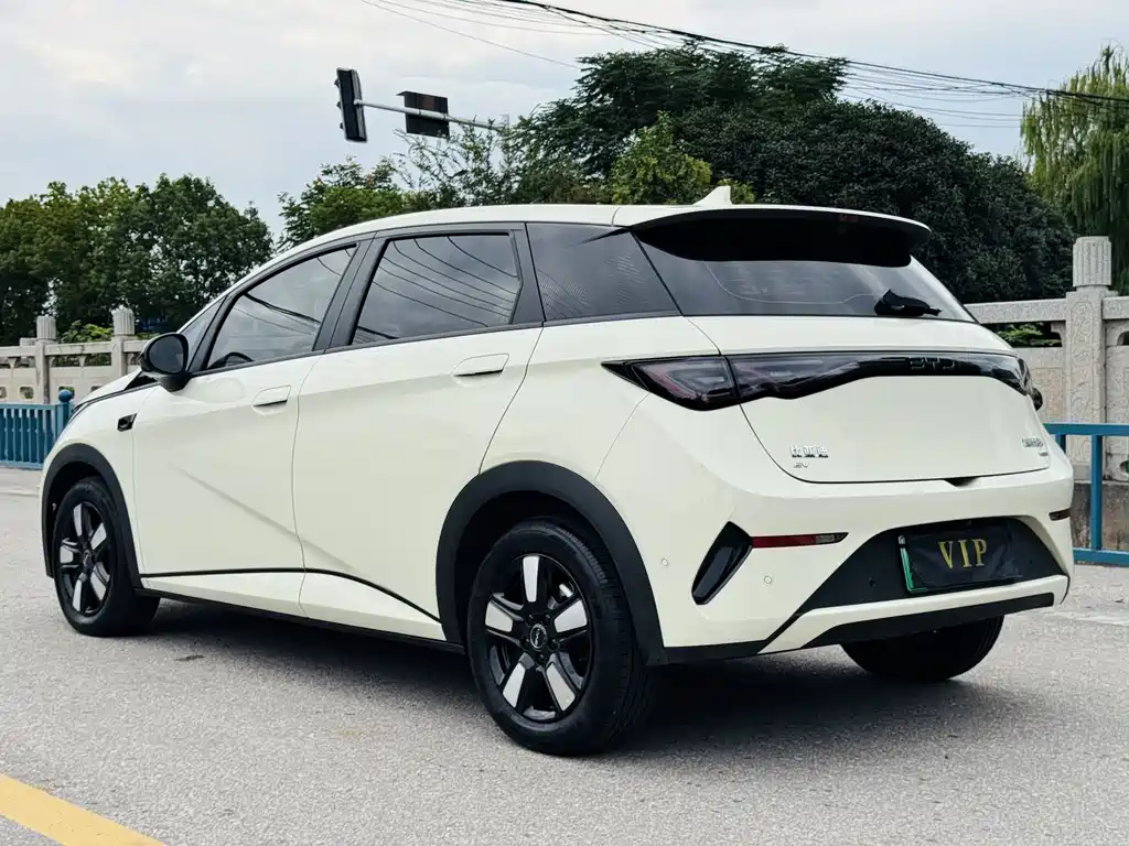 BYD Dolphin — миниатюра 3
