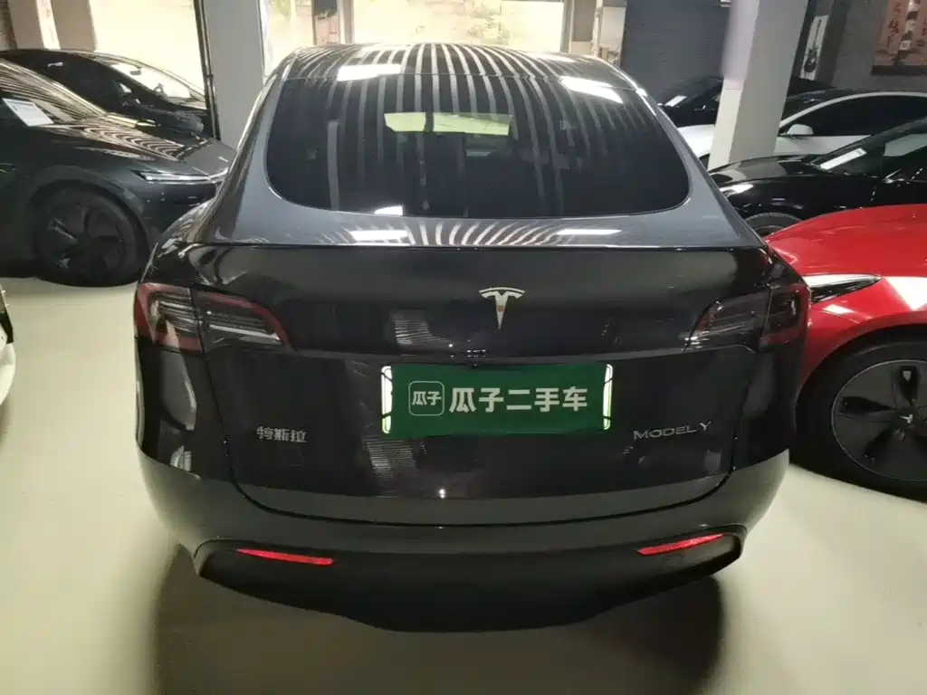 Tesla Model Y — миниатюра 6