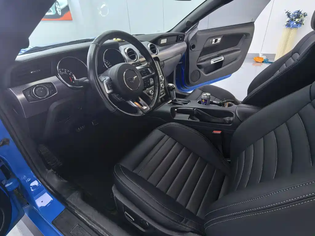 Ford Mustang — миниатюра 12