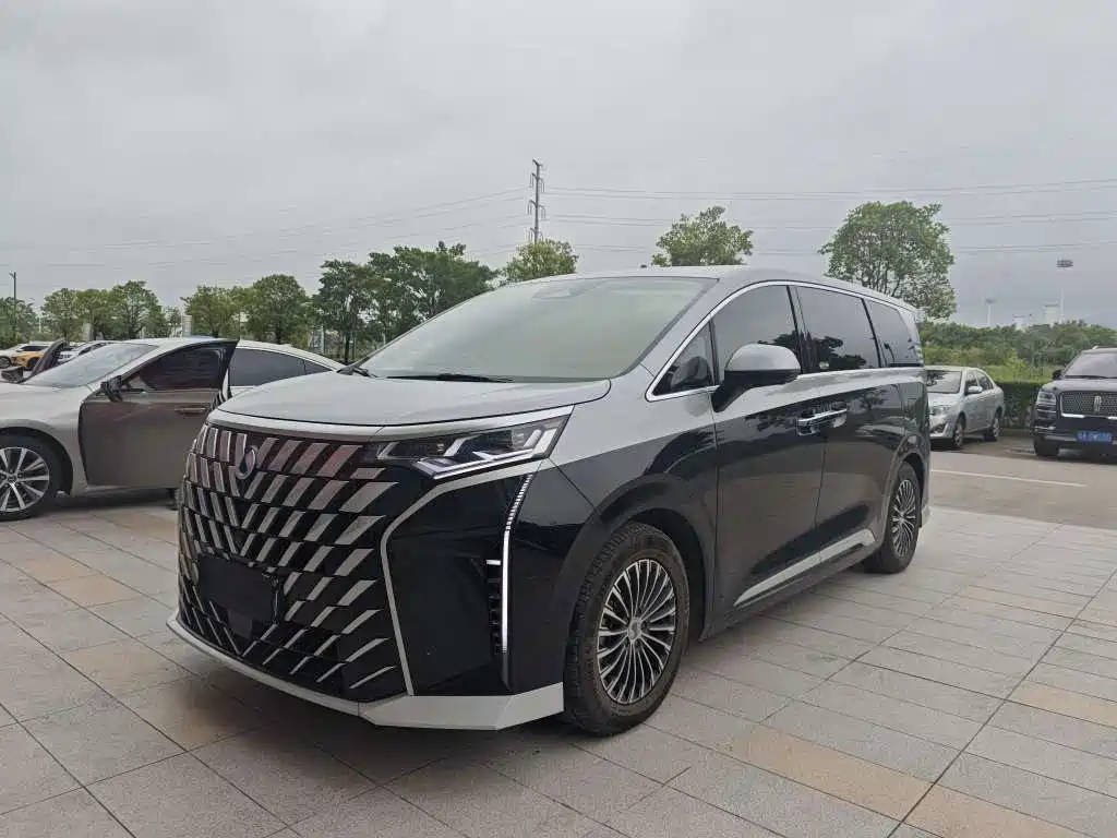 Denza Denza D9