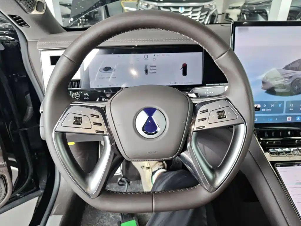 Denza Denza Z9 — миниатюра 11