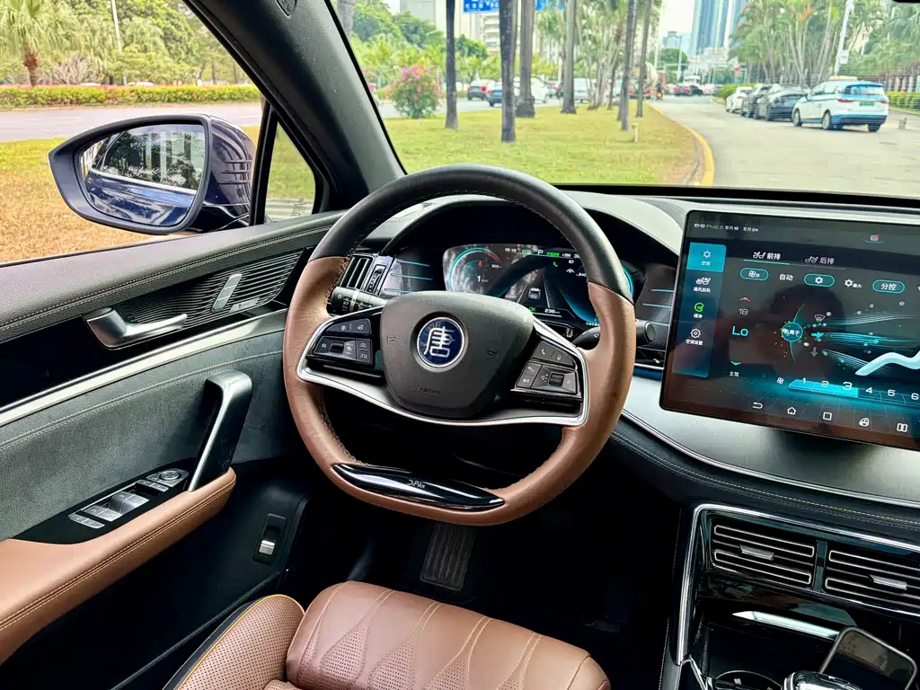 BYD Tang New Energy — миниатюра 13
