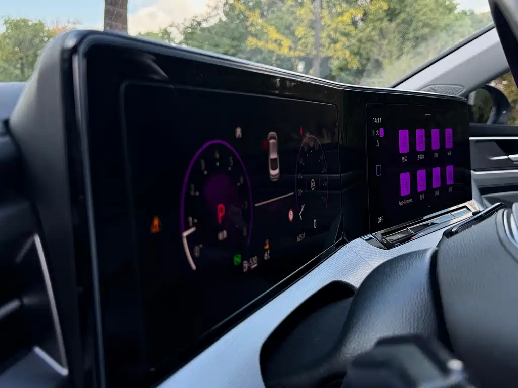 Volkswagen Lamando — миниатюра 14
