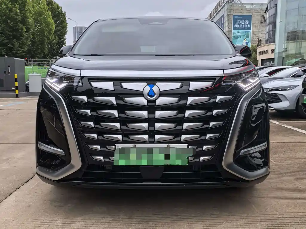 Denza Denza D9 — миниатюра 2