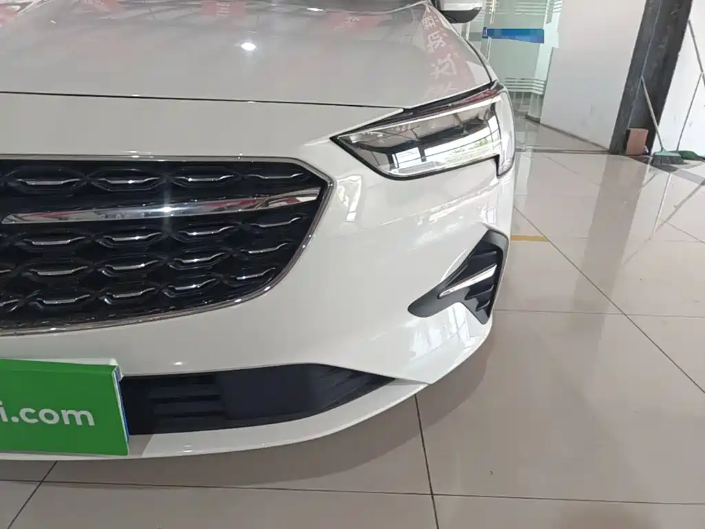 Buick Regal — миниатюра 24