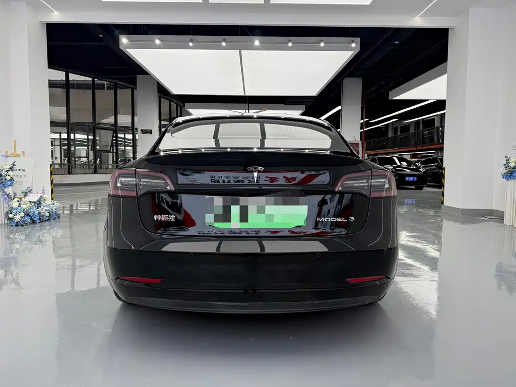 Tesla Model 3 — миниатюра 15