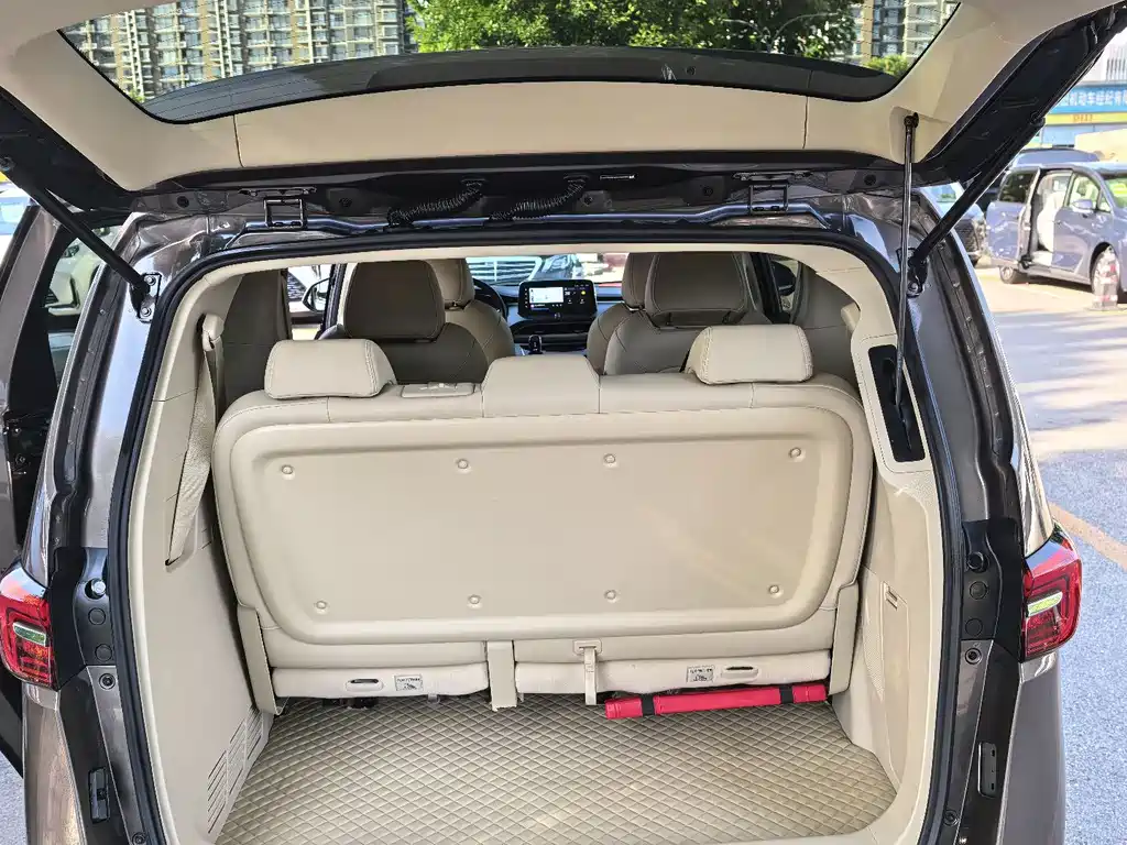 Buick GL8 — миниатюра 11