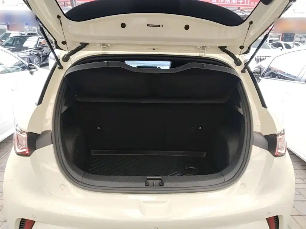 BYD Dolphin — миниатюра 19