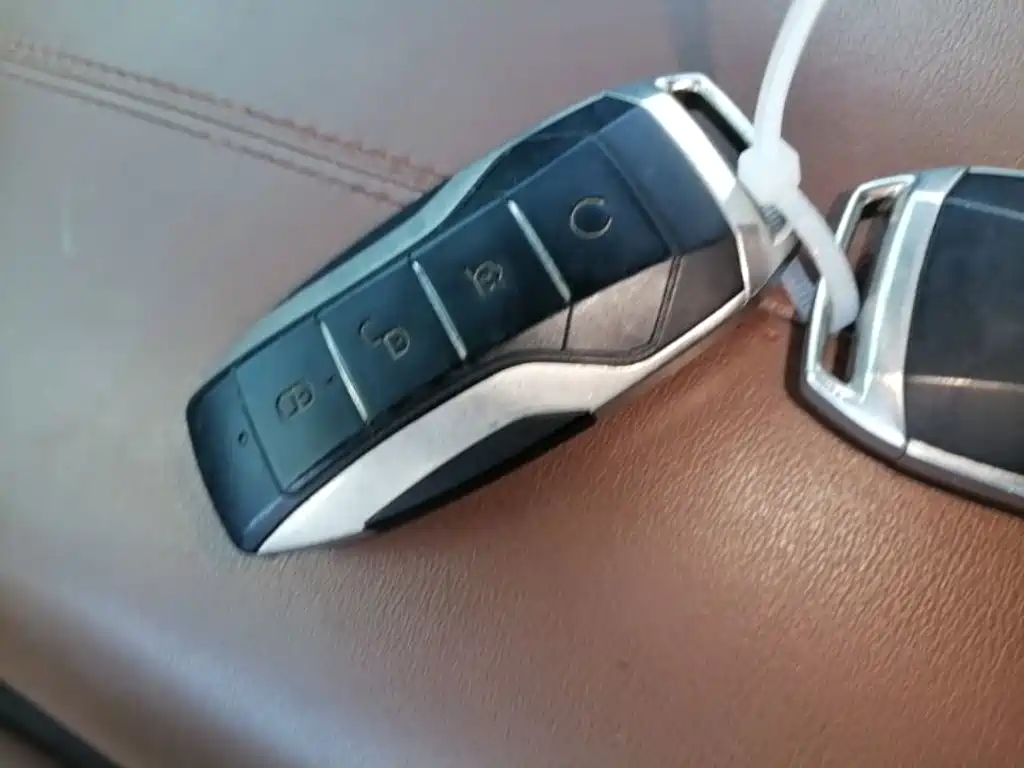 BYD PLUS — миниатюра 9